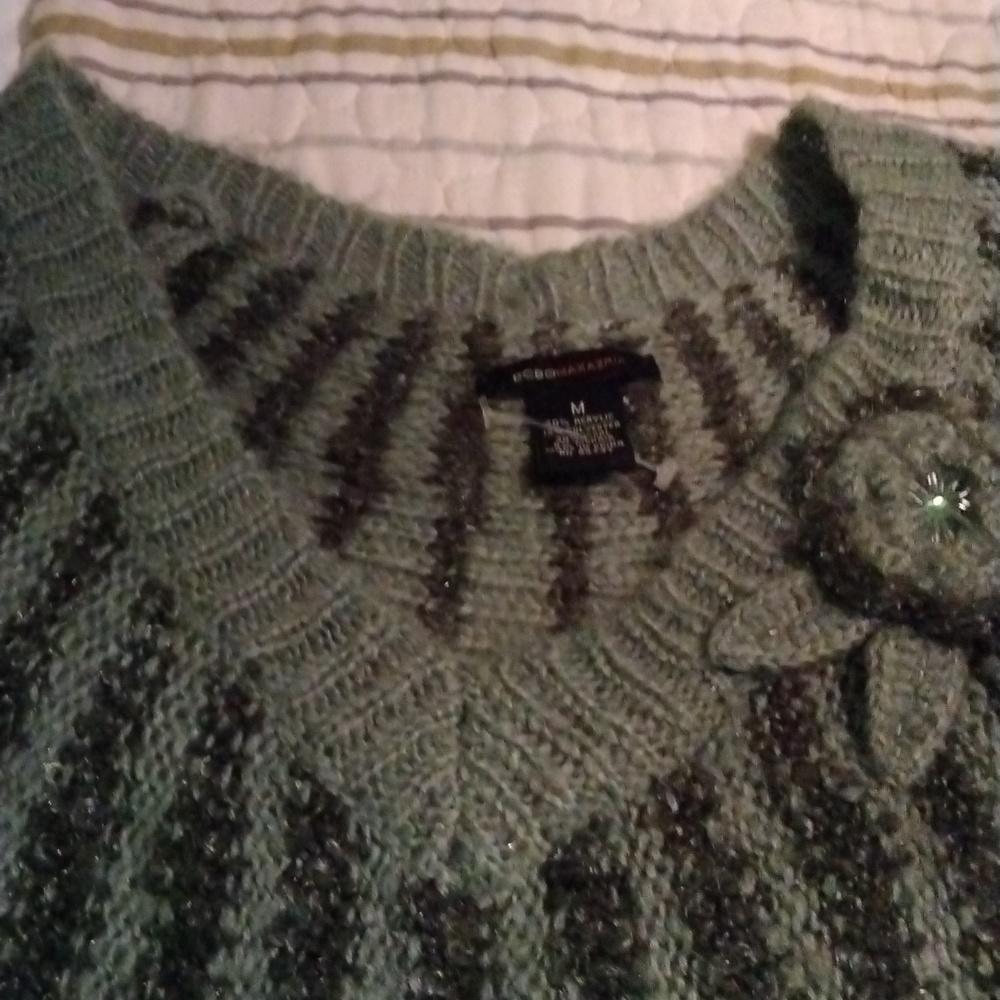 BCBG batwing sweater
